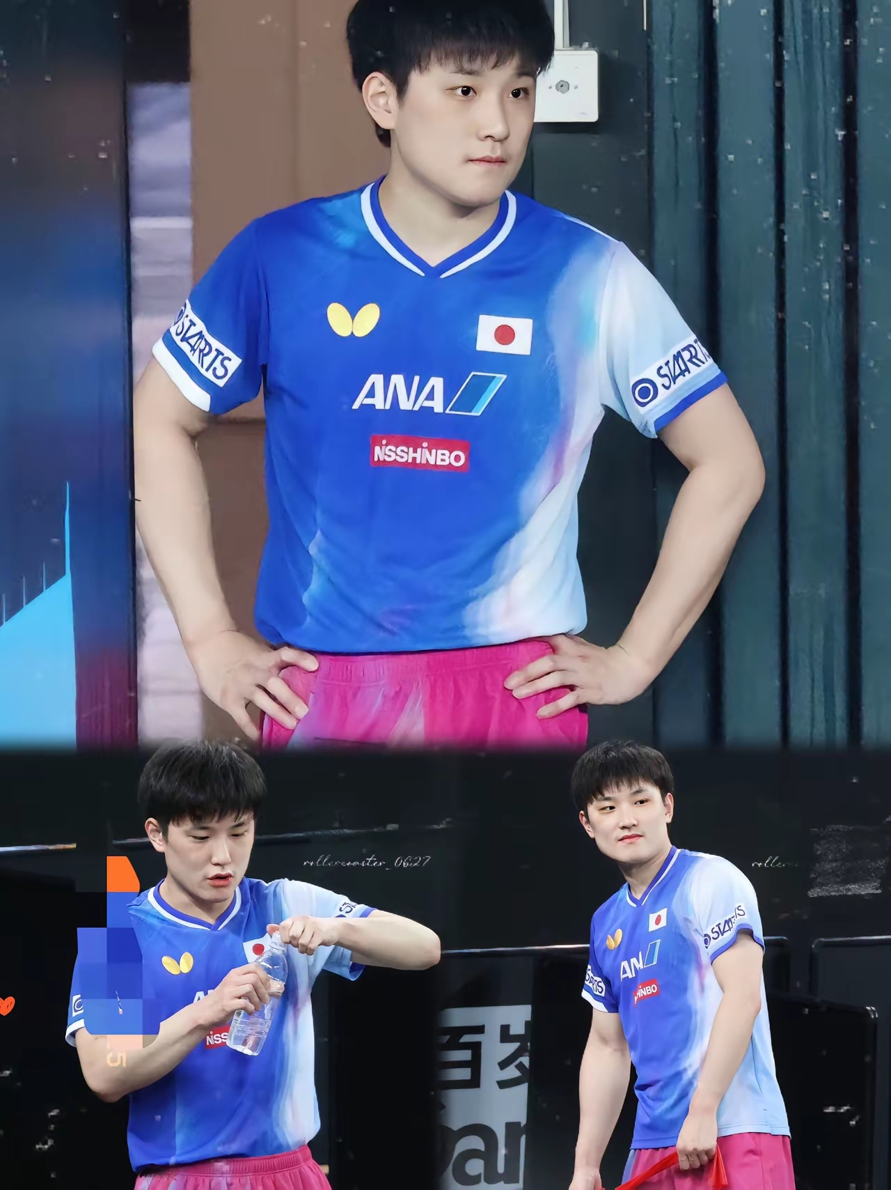 关于瑞典队轻取法国队，张本智和刷新纪录的信息