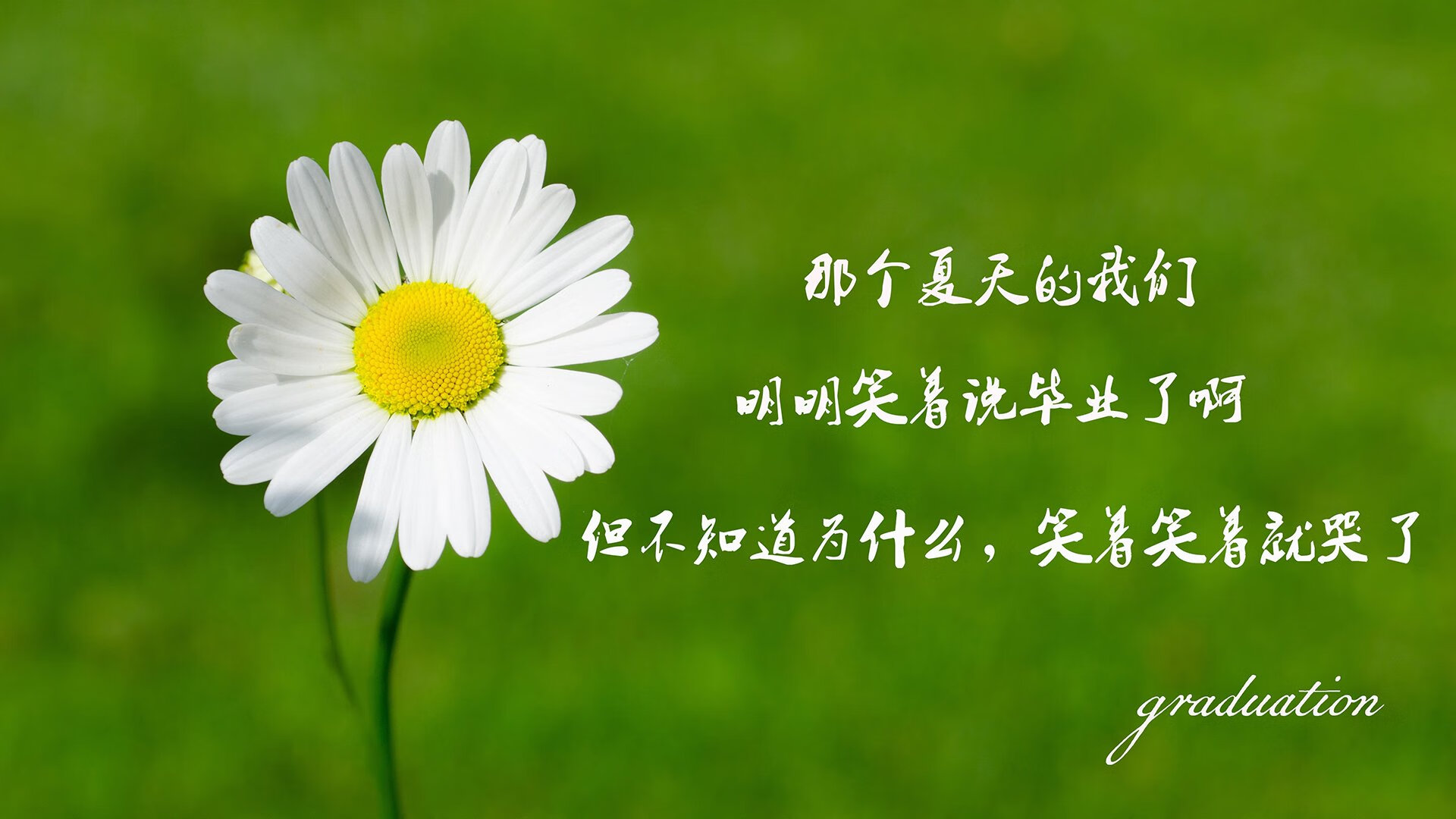 卡马文加中场导演法国未来，塞内加尔火力全开压制南美劲旅
