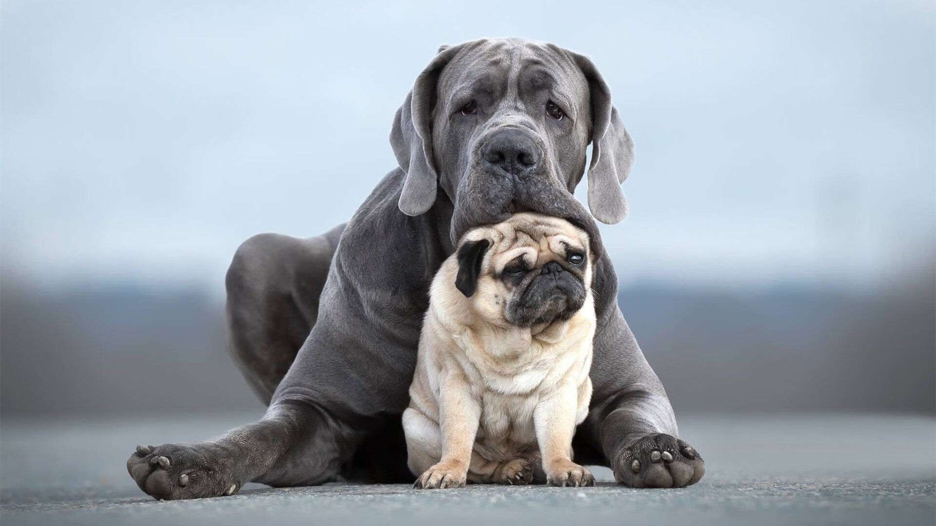 跨界之战，切特的救赎，在广东主场写下传奇