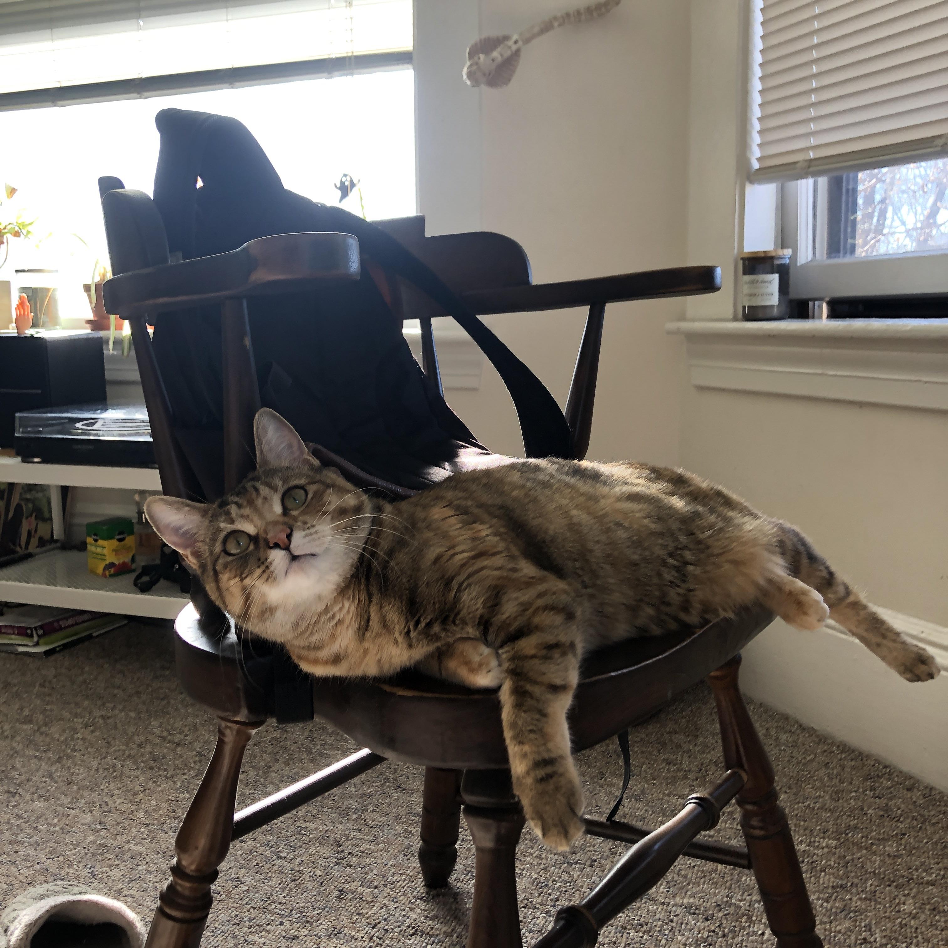 风与孤独的对话，年度焦点之夜的欧文独白