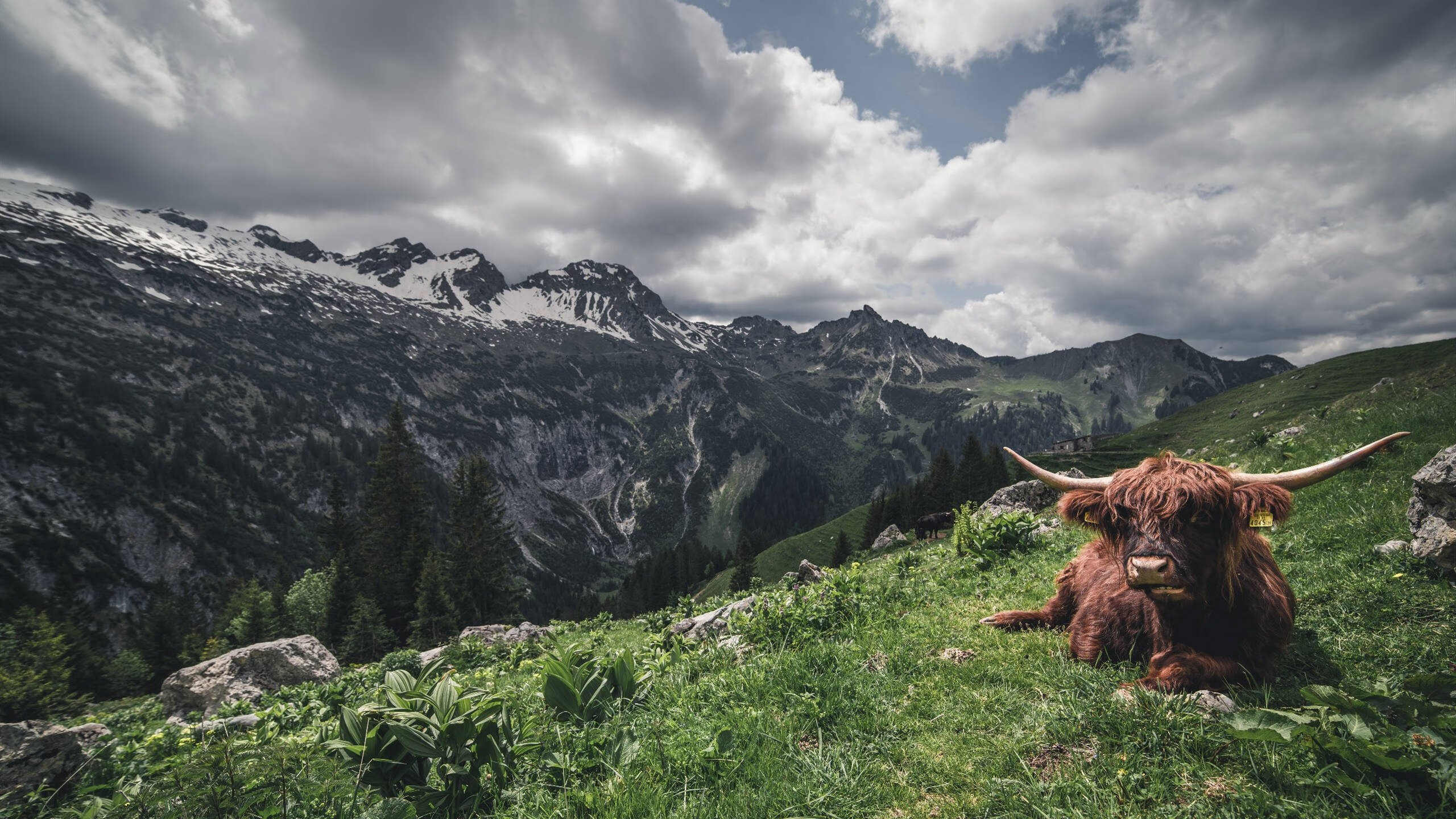 平行宇宙的接管者，当爱德华兹在欧冠决赛与掘金掀翻76人同时上演