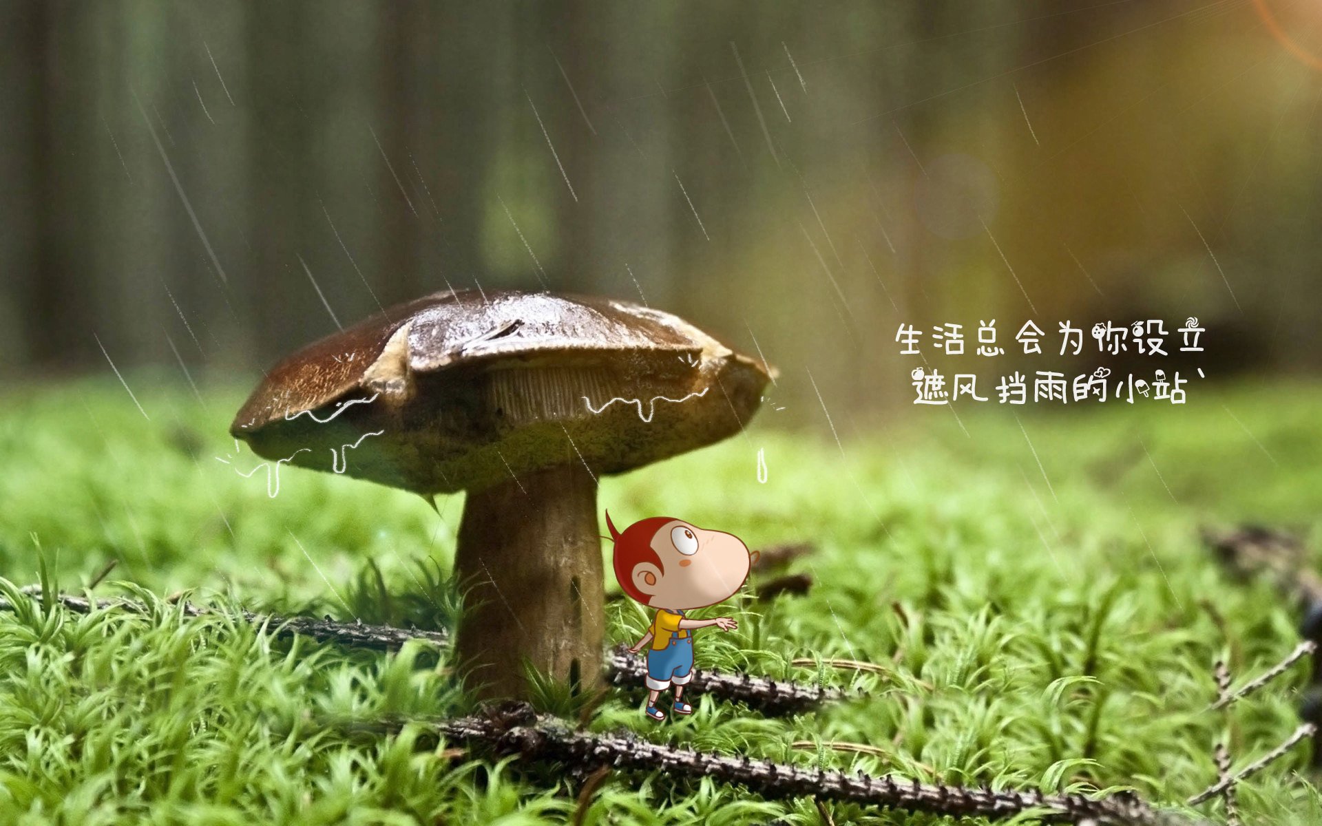 沙漠孤鹰与桑巴狂舞,齐耶赫的孤绝弯刀,为何割不破巴西中场织就的逆转天网?