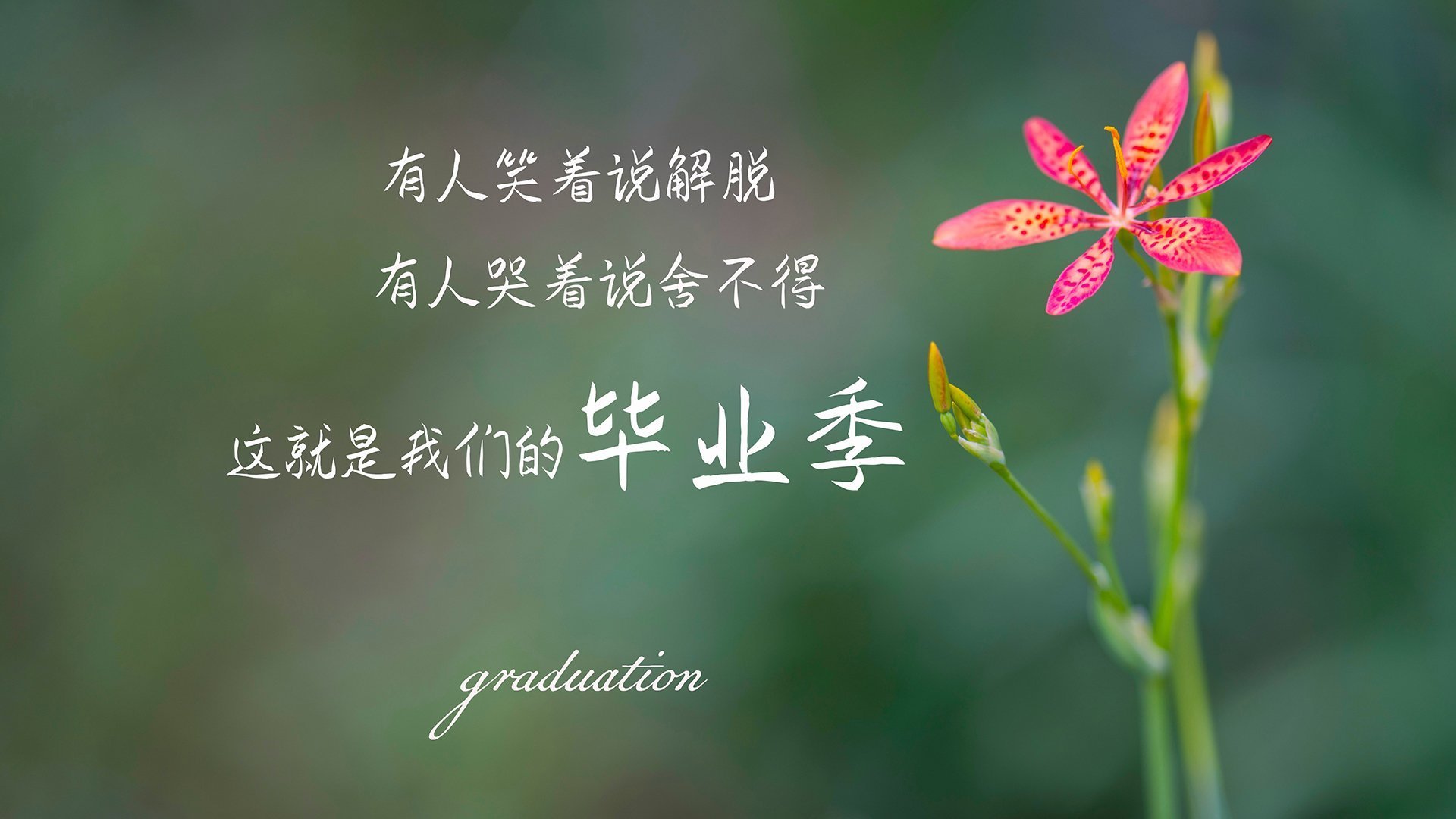 奇迹2026,吉鲁加时绝杀,越南2-1墨西哥历史性闯入世界杯决赛