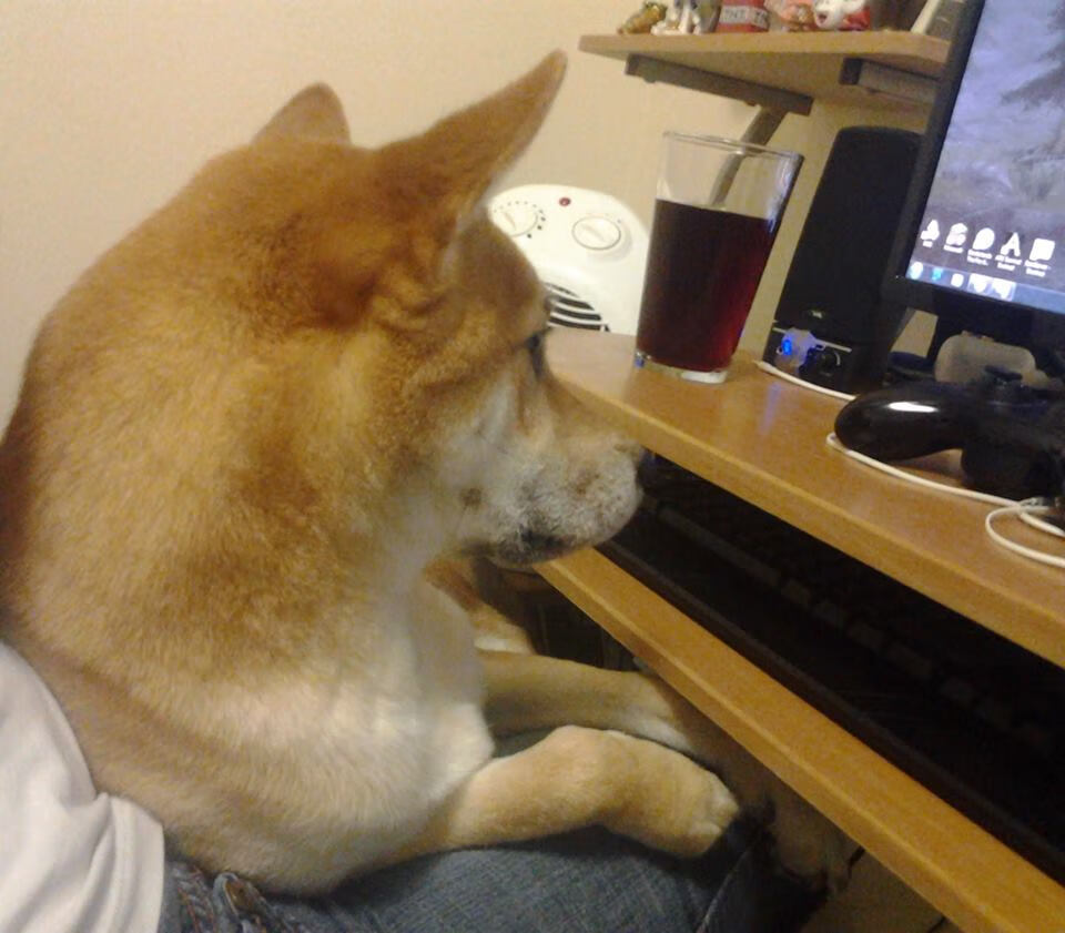 (扩展思维护)