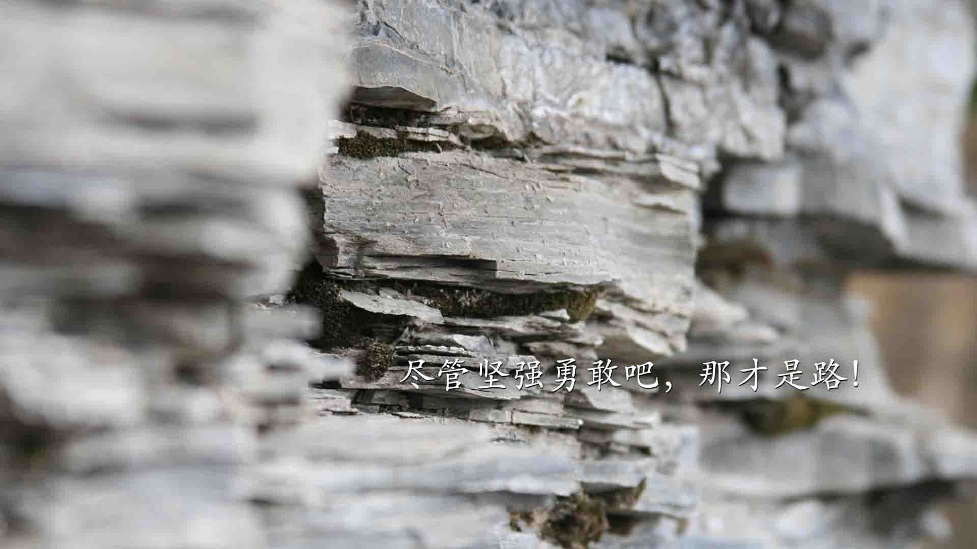 悲情英雄,哈基米闪耀难救主,瑞典控球制胜书写北欧新王篇章