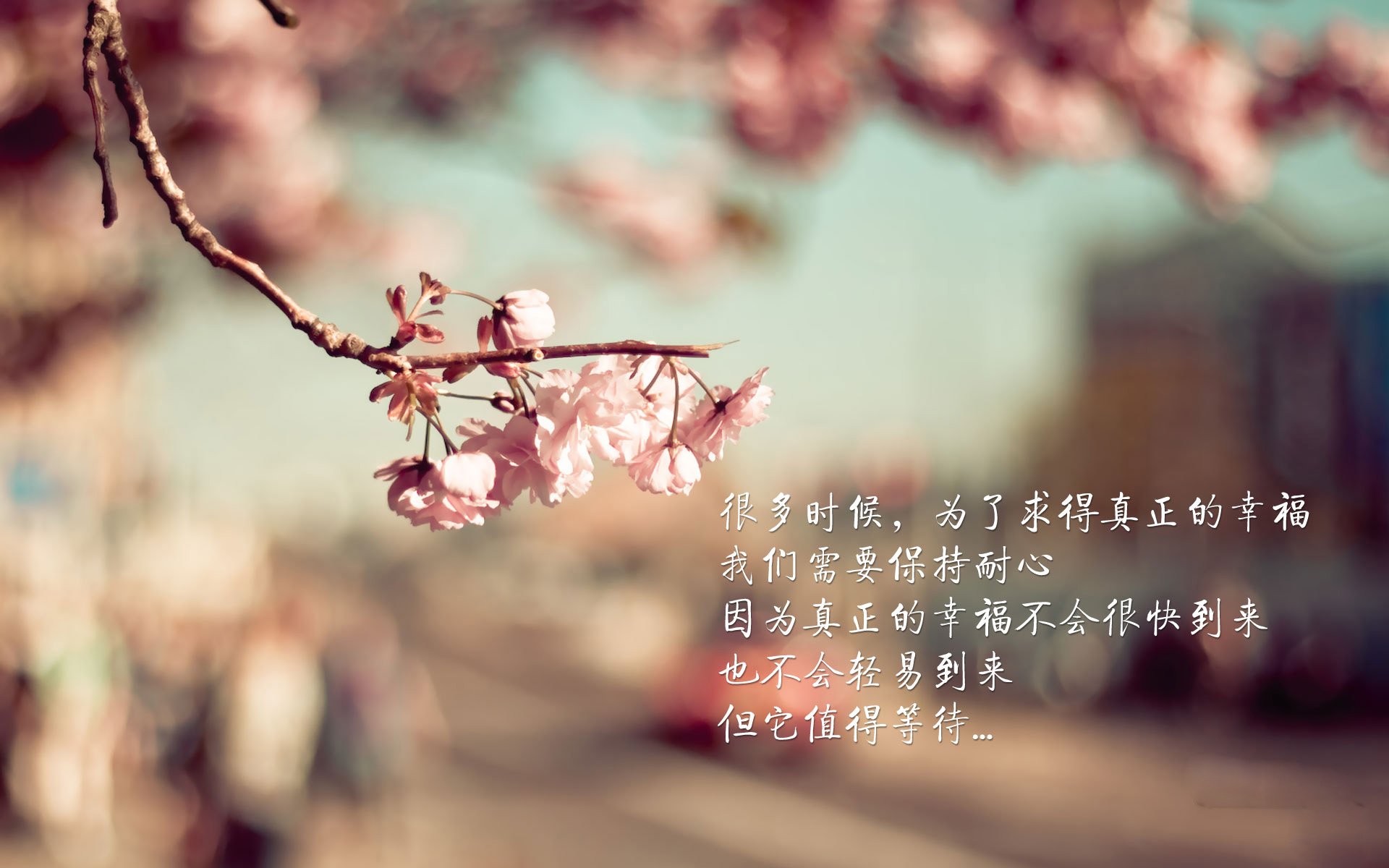 碾压下的血路,当西班牙的优雅撞上伊拉克的钢铁,坎塞洛用硬核表现定义了2026的唯一性