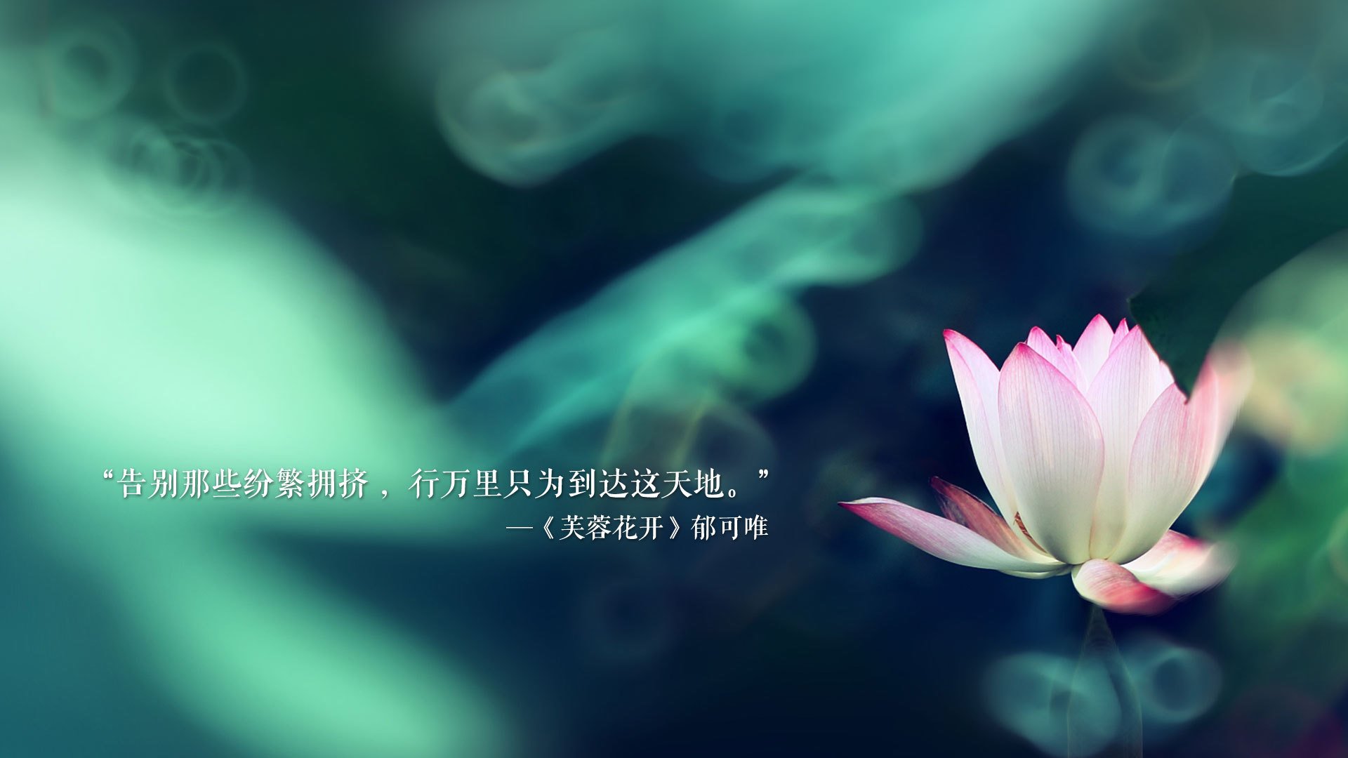 冰岛，不止于冰与火，当维京战吼在2026遭遇奥斯梅恩的致命反击
