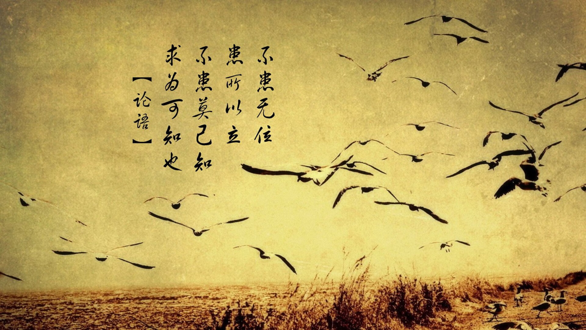 绝杀之光,范戴克天神下凡,秘鲁临场妙手降服泰国铁象